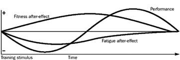 Fatigue Theory
