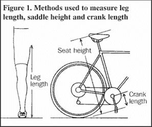 Saddle height