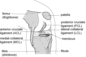 Knee injuries